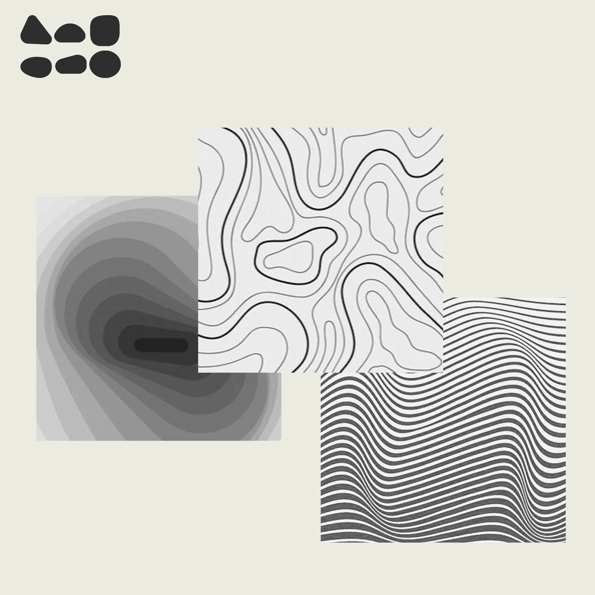 SEISMIC BRAND DESIGN