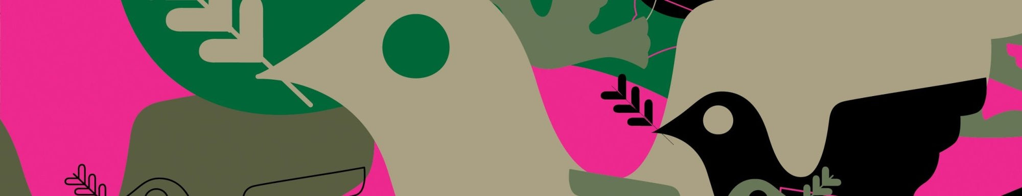 DOVE CAMO LTD - Far From Timid